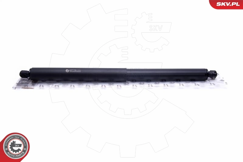 Gas Spring, boot/cargo area